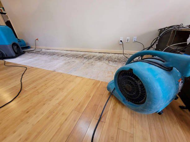 Professional Ceiling Water Damage Repair technician working in Chippewa Lake, OH